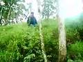 Entidade-s-Video-Clu