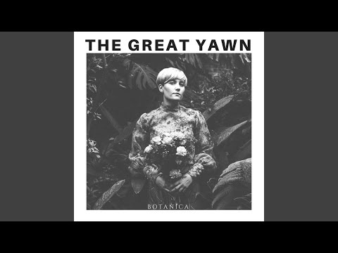 The Great Yawn Amble