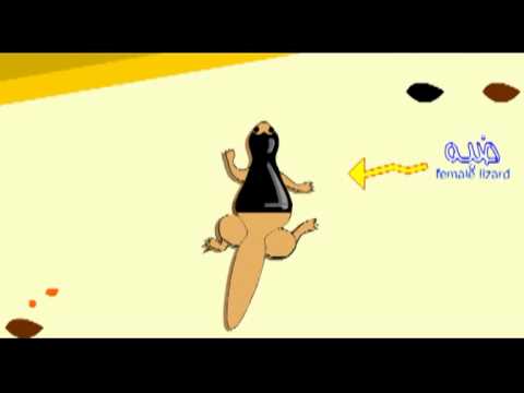 سكس صور هيفاء