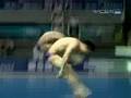 Chinese Men Win Springboard Synchro