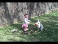 Emma Kelly playing with the Dogs