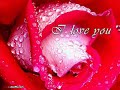 Sehnsucht nach Liebe!!!!!