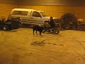 150cc chopper