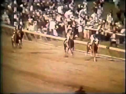 horse racing horse racing