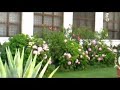 Manastirea-Tismana