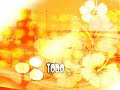 Cortinilla publicidad verano rtvt