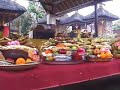 The Balinese Art of Offering -- Galungan Ceremony The Balinese Art of Offering -- Galungan Ceremony