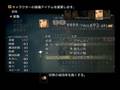 FFXII IZJS Ashe(もののふ) Stage 100 (part 2)