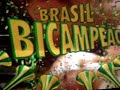 Brasil BICAMPEAO volei masculino Brasil BICAMPEAO volei masculino