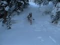 Vail Back Country