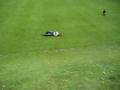 Tanya rolling down hill
