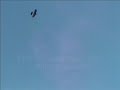 RC Airplane Bomb drop