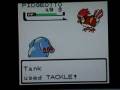 videos de Pokemon Master Quest: Episode 02: More than a bird, more than a plane