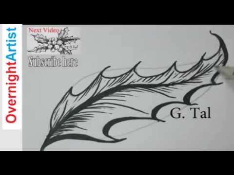 how to draw holly leaves
