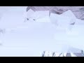 Crystal Forest Crystal Forest