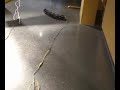 Ckbot wheeled snake gait