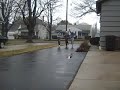 Grifball Training Video