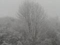 Paysage D'Hiver - Eishalle