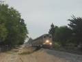 Very rare Capitol Corridor, Amtrak #527, 528, 11, and UP
