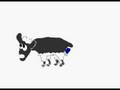 Flashanimation