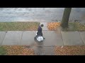 walking