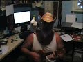 Black is Black on ukulele - Los Bravos