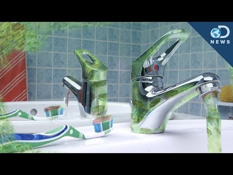 Your Toilet is NOT the Germiest Part of Your House!