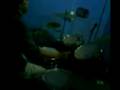 latihan buat U-pic Band