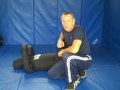 Arm Bar From Mount