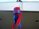 Spider Ran