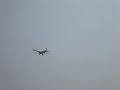 skyblazer skyblazer