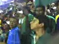 FURIA VERDE FINAL 2