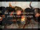 Todos os seres merecem viver