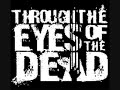 through the eyes of the dead   autumn tint of gold