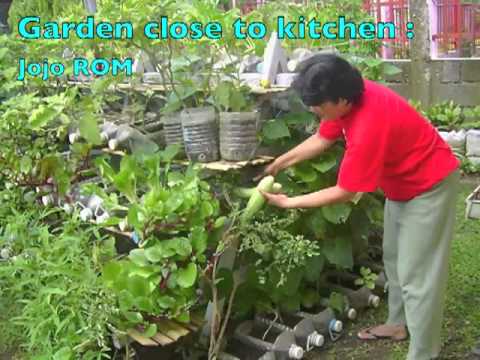 how to grow veg in a pots