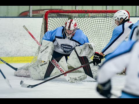 Nicholas Brewer vs NEST Feb 11, 2024