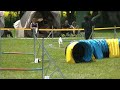 Sonja Magerl-Fuchs mit Francis, Lechfeld, 20.05.2012, Jumping