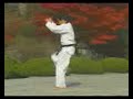 07 Taeguk Chil Chang.mpg