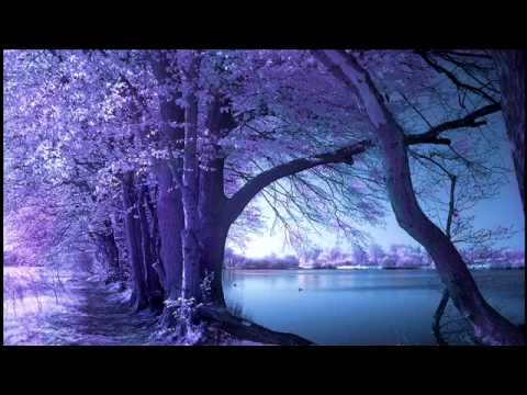 how to make fb profile purple