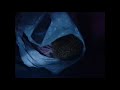 #4 Pokemon Platinum Wi-Fi Battle Narrated: Vs Space_Tree