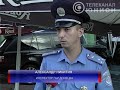 ДТП, Попугай, Донецк
