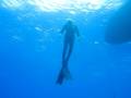 Free-Immersion