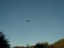 VUELO EN CAMPO 02