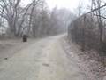 Freaky Weather