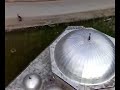 Malesia E Vogel