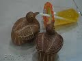How Bird(s) Eat Jelly (Stop Motion)
