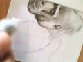 ACEO Speed Pencil Drawing Silverback Gorilla