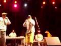 freestyle de satira sativa