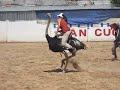 Alicia rides an ostrich (I think this is the second time) and hangs on for dear life.