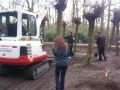 The Grove - Nika Neelova - Keukenhof 2010